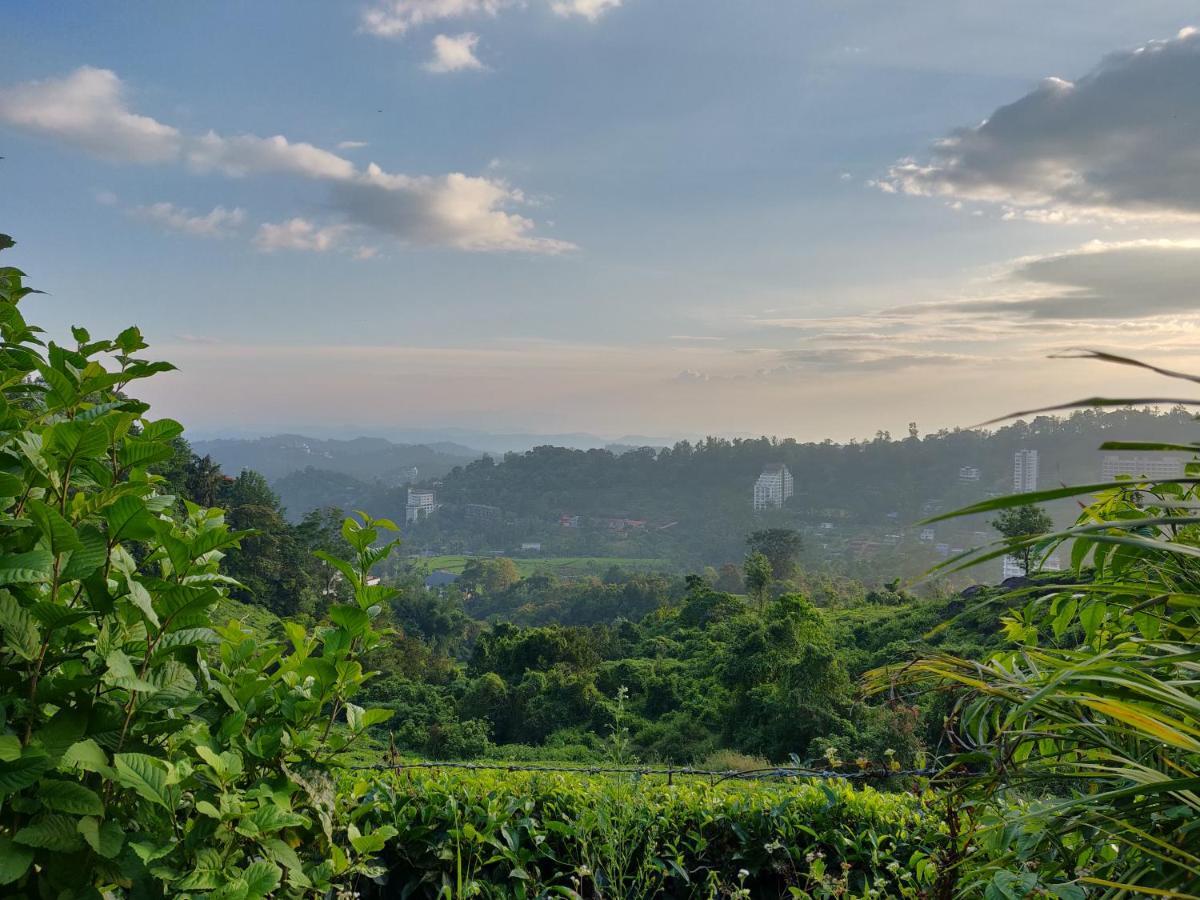 Chandys Windy Woods Munnar Exterior photo